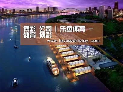 案例展示八