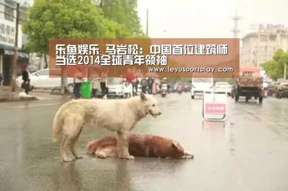 乐鱼娱乐_马岩松:中国首位建筑师当选2014全球青年领袖(图1) 乐鱼game